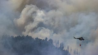 Vědci mají jasno: Změna klimatu ke vzniku lesních požárů přispívá
